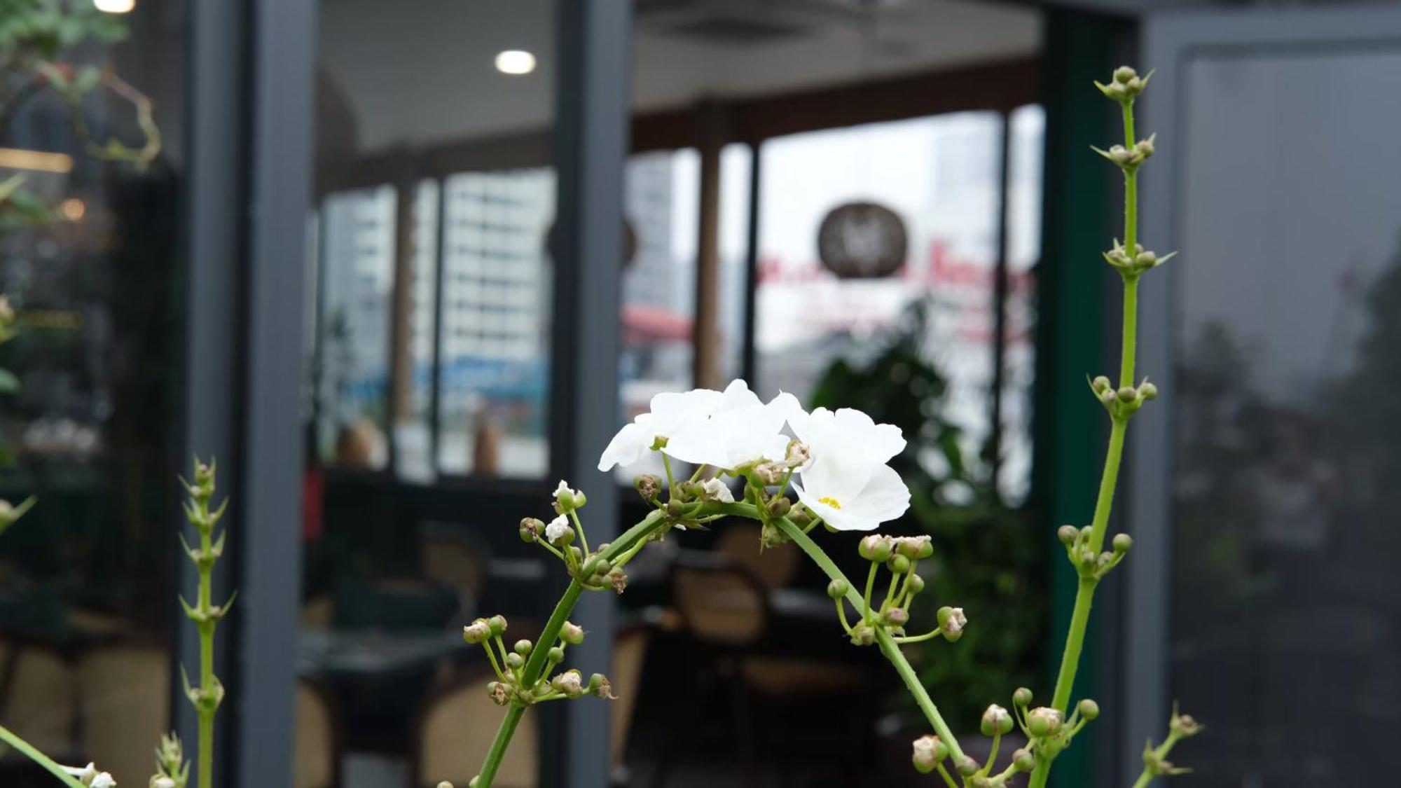 The Bloom Classic - Hotel And Bistro 하노이 외부 사진