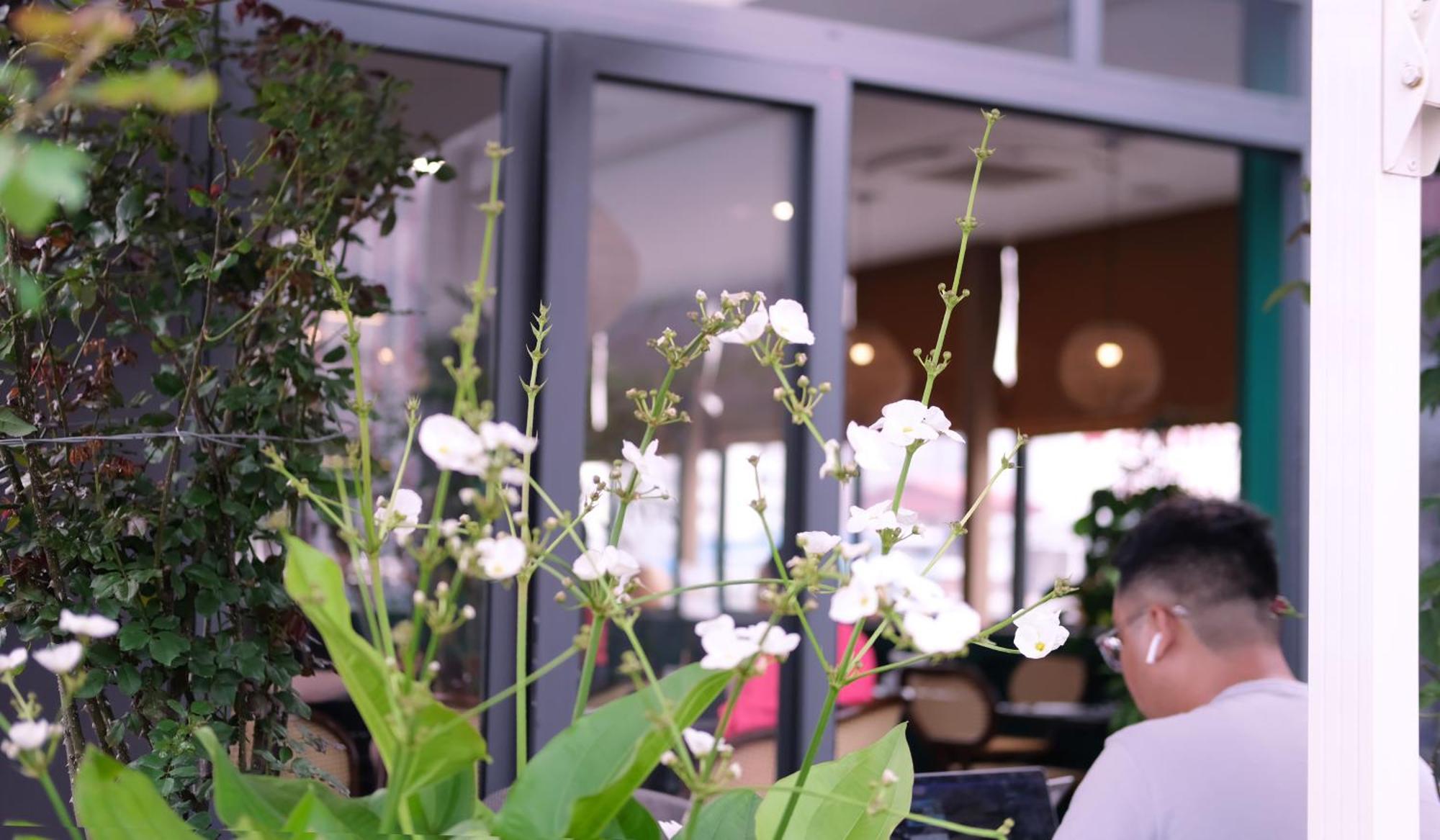 The Bloom Classic - Hotel And Bistro 하노이 외부 사진